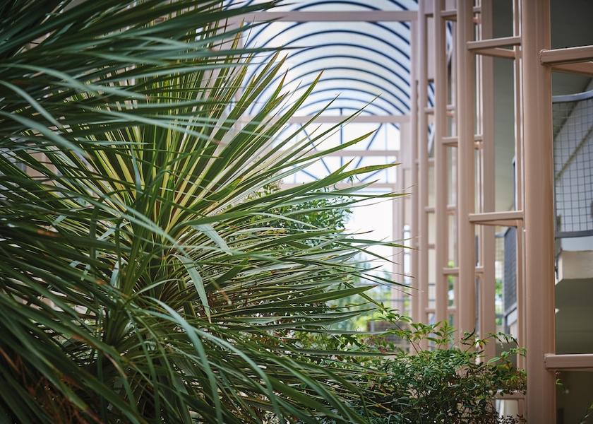 Pays de la Loire Mauges-sur-Loire Room