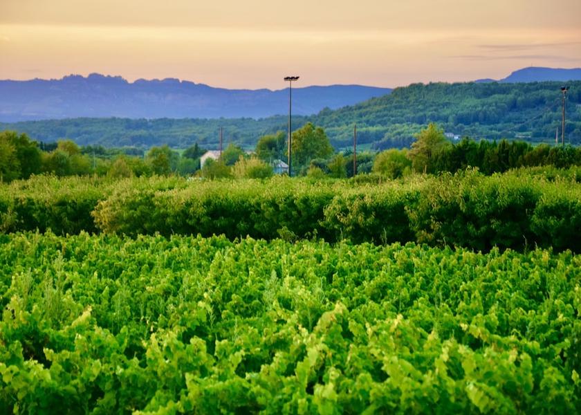 Provence - Alpes - Cote d'Azur Saint-Didier View from Property