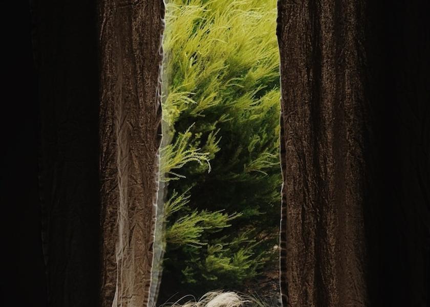 Brittany Plouider Interior