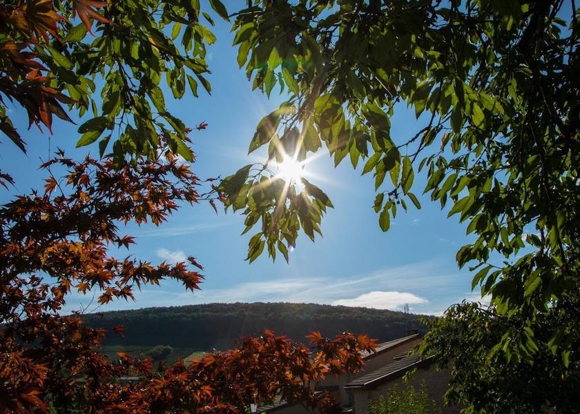 Bourgogne-Franche-Comte Aze Exterior Detail