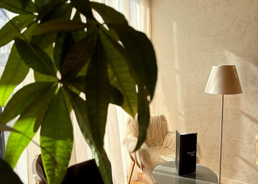 Brittany Plerin Pool