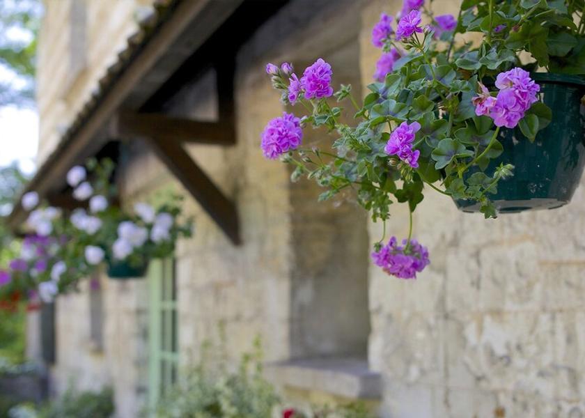 Hauts-de-France Lumbres Facade