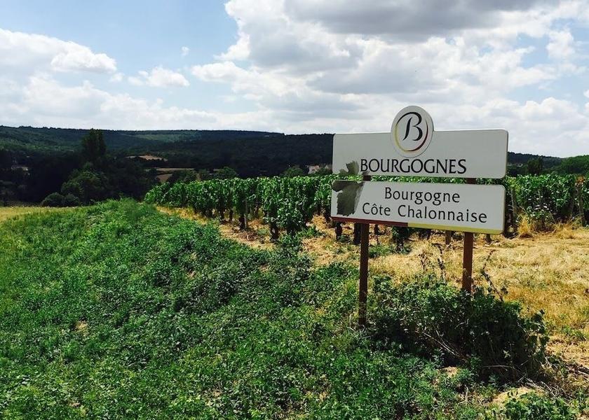Bourgogne-Franche-Comté Fontaines Vineyard