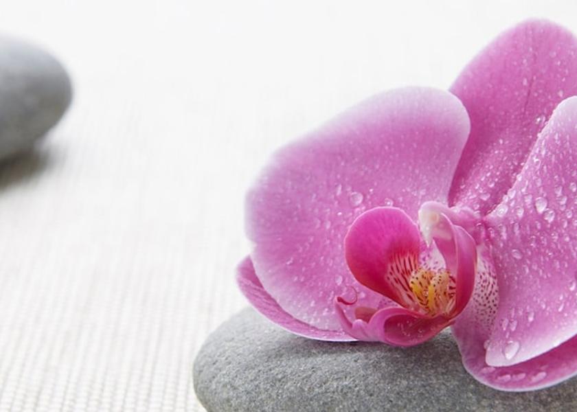 New York Tarrytown Spa