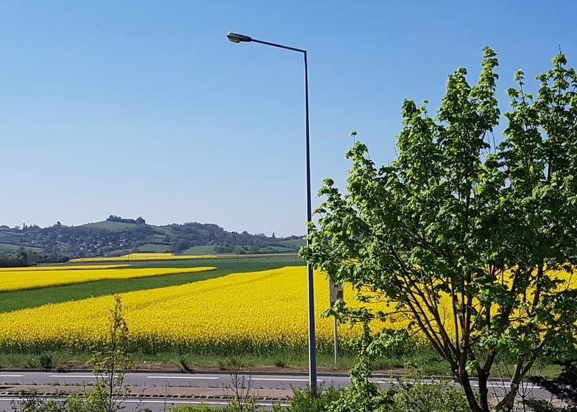 Auvergne-Rhone-Alpes Saint-Pierre-de-Chandieu View from Property