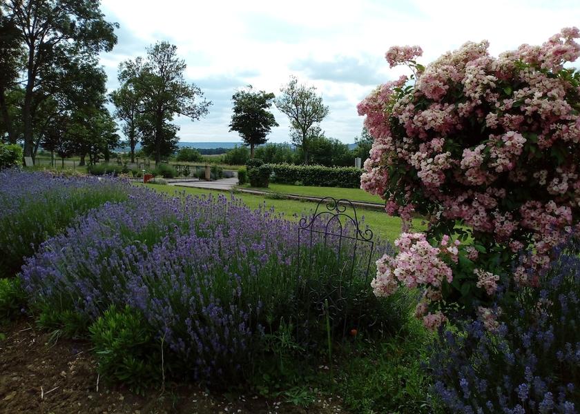 Grand Est Allain Exterior Detail