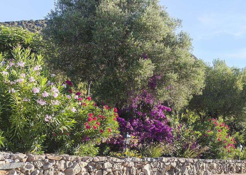 Corsica Olmeto Entrance