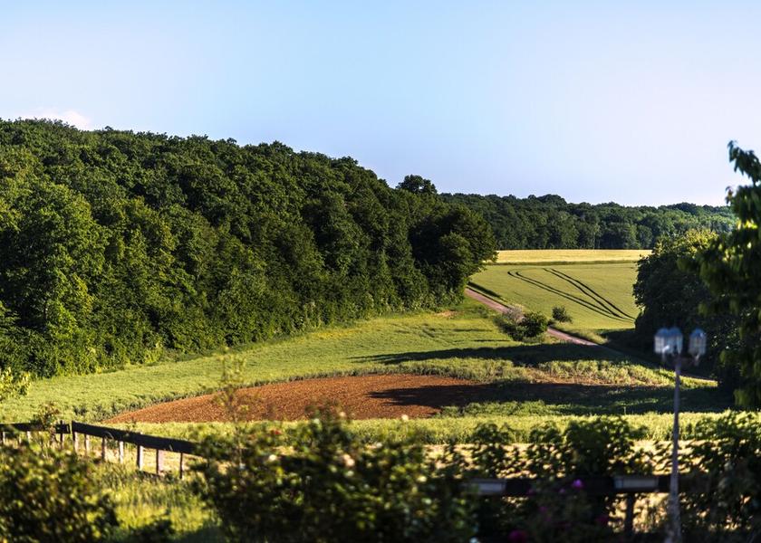 Bourgogne-Franche-Comte Etais-La-Sauvin Garden