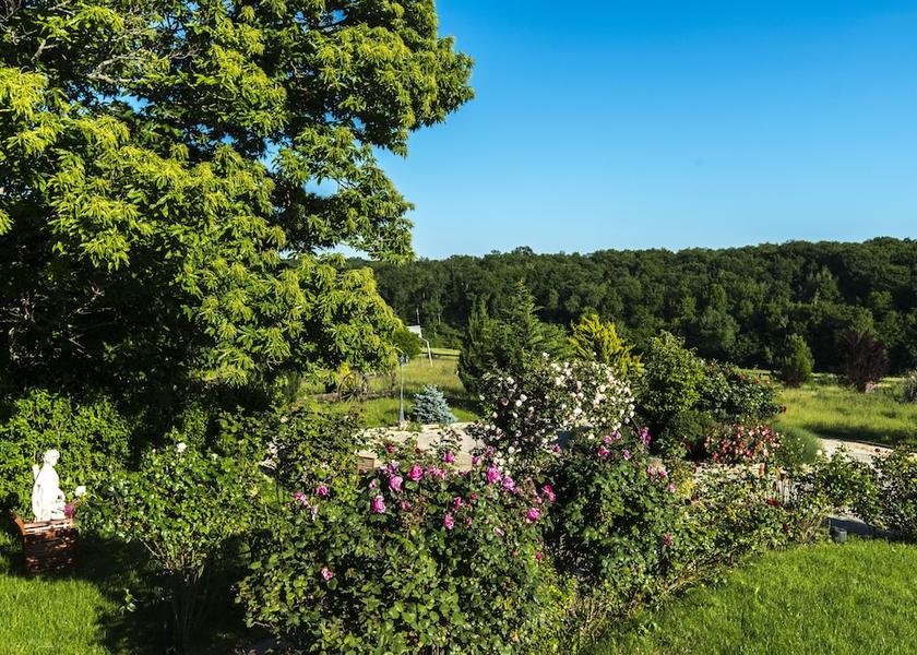 Bourgogne-Franche-Comte Etais-La-Sauvin Garden