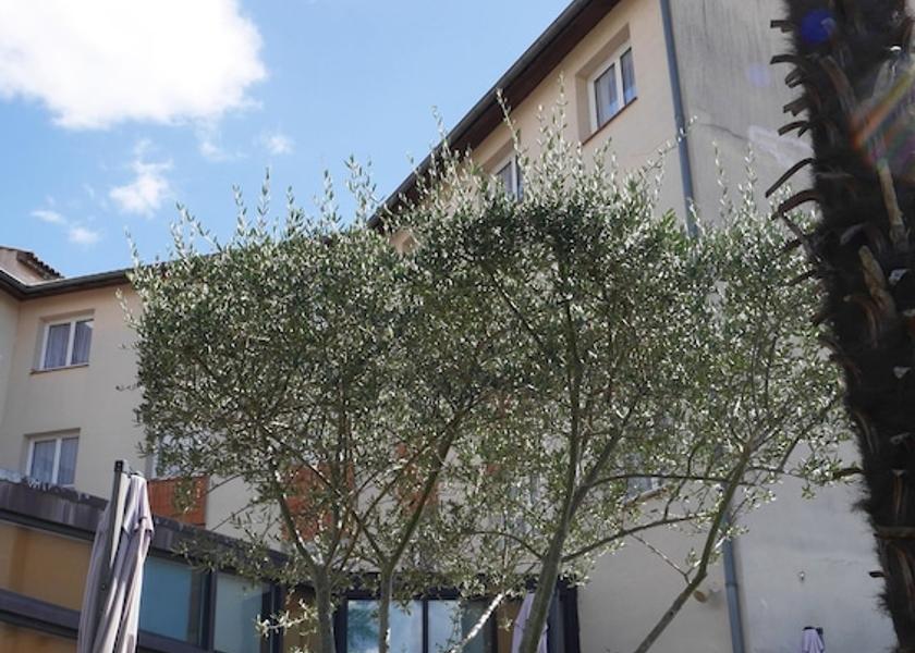 Occitanie Portet-sur-Garonne Exterior Detail