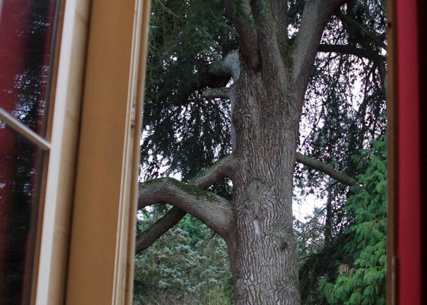 Nouvelle-Aquitaine Montussan View from Property