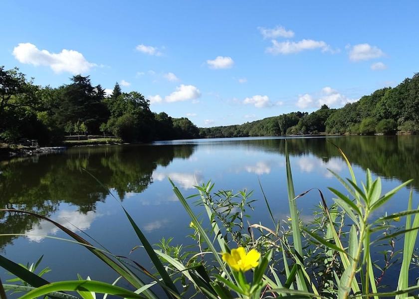 Pays de la Loire Savenay View from Property
