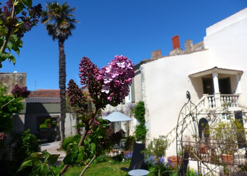 Nouvelle-Aquitaine Saint-Martin-de-Re Garden