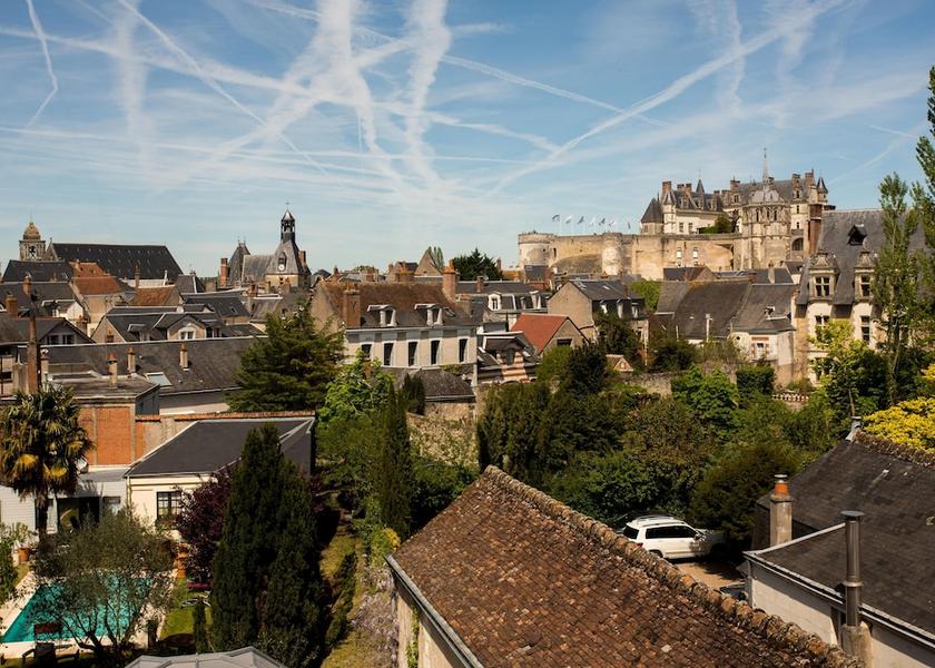 Centre-Loire Valley Amboise View from property