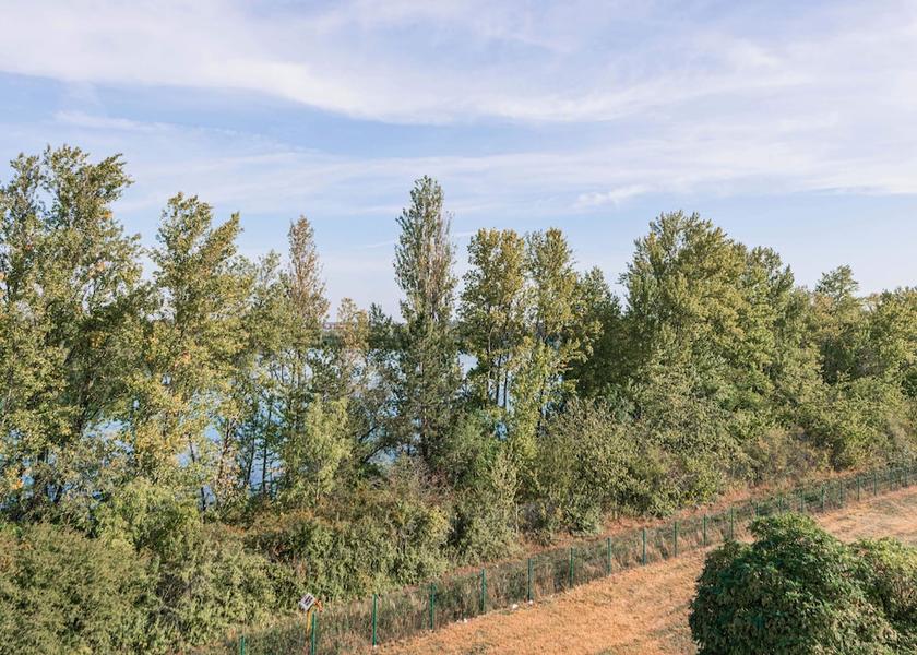 Grand Est Colmar View from Property