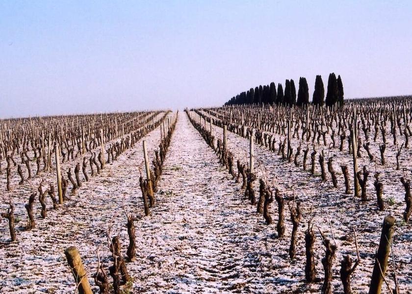Pays de la Loire Le Pallet Exterior Detail