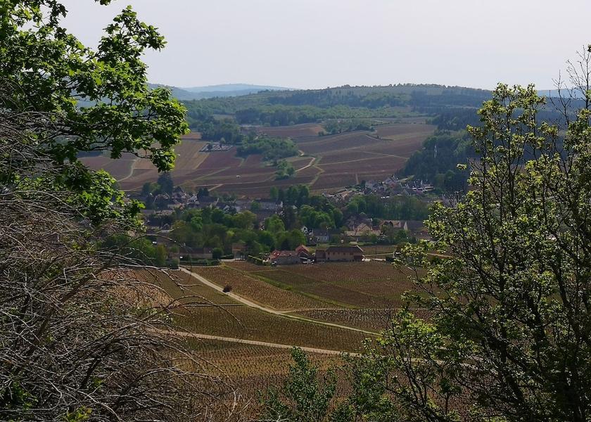 Bourgogne-Franche-Comté Mercurey Exterior Detail