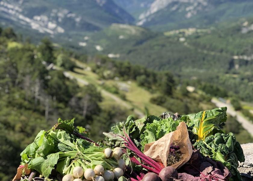 Provence-Alpes-Côte d'Azur Trigance Restaurant
