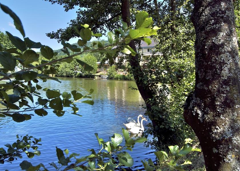 Grand Est Guebwiller View from Property