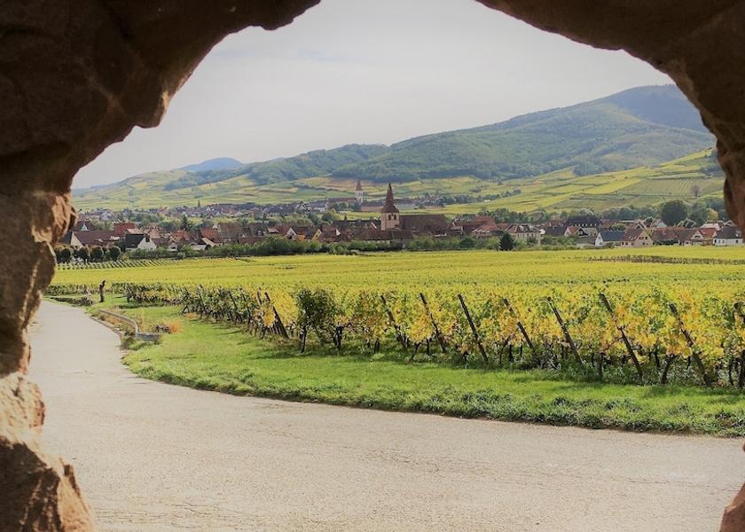 Grand Est Kaysersberg View from Property