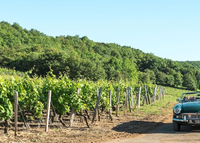 Bourgogne-Franche-Comte Vire Land View from Property
