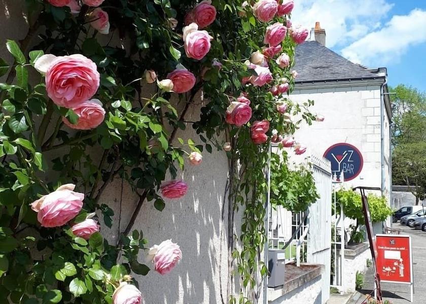 Centre - Loire Valley Yzeures-Sur-Creuse Facade