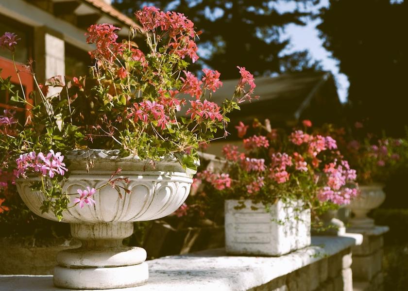 Hauts-de-France Lamorlaye Exterior Detail