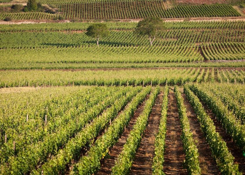 Bourgogne-Franche-Comte Beaune Exterior Detail