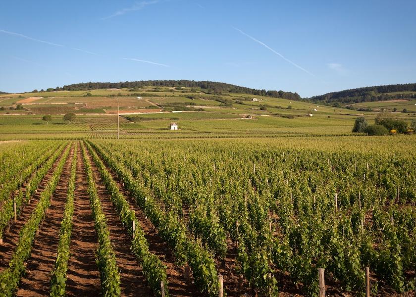 Bourgogne-Franche-Comte Beaune Winery