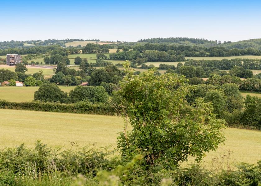 Pays de la Loire Saint-Mars-La-Reorthe View from Property