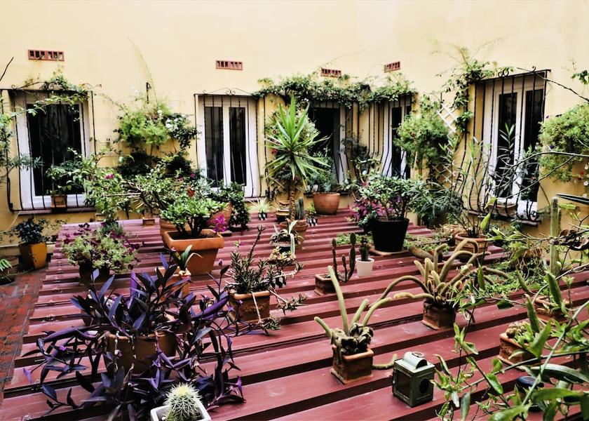 Occitanie Perpignan Terrace/patio