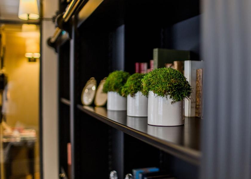 Brittany Rennes Reception