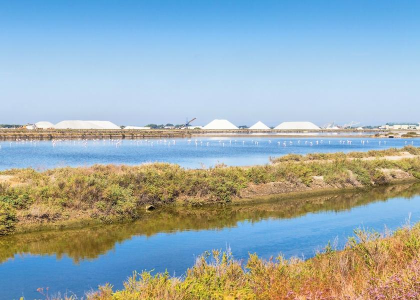 Occitanie Le Grau-Du-Roi Hiking