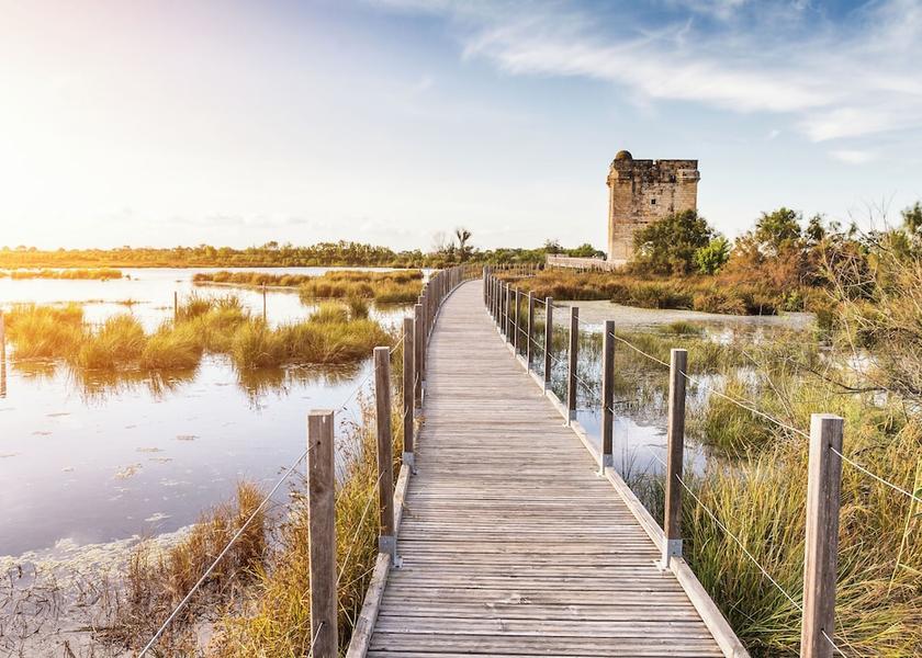 Occitanie Le Grau-Du-Roi Hiking