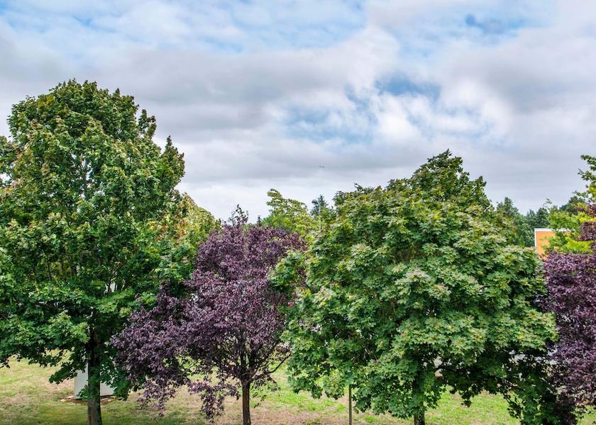 Pays de la Loire La Chapelle-sur-Erdre View from Property