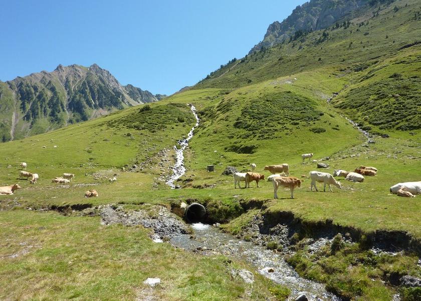 Occitanie Bagneres-De-Bigorre Exterior Detail