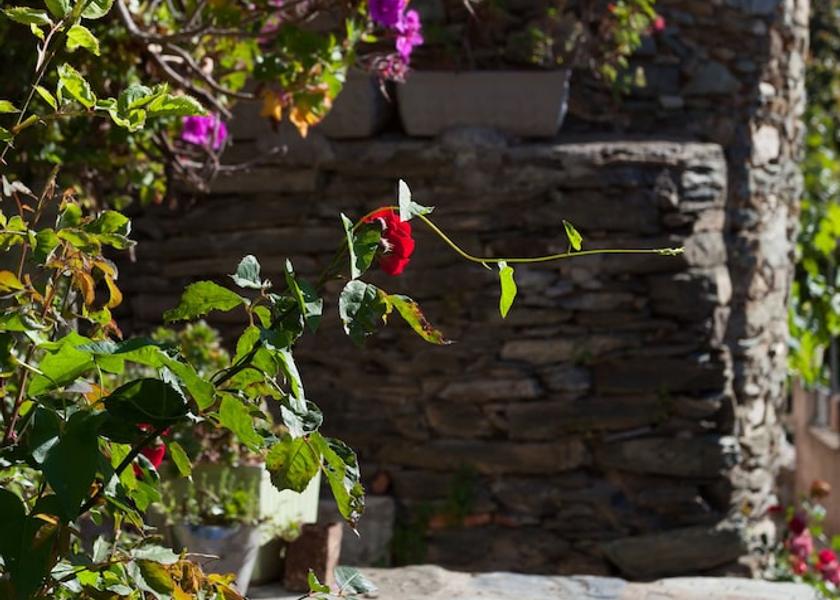 Corsica San-Martino-Di-Lota Exterior Detail