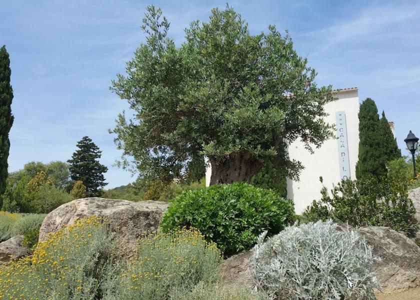 Corsica L'Île-Rousse Garden