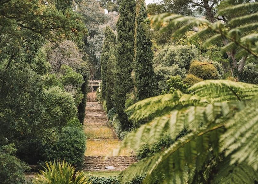 Var Rayol-Canadel-Sur-Mer Exterior Detail