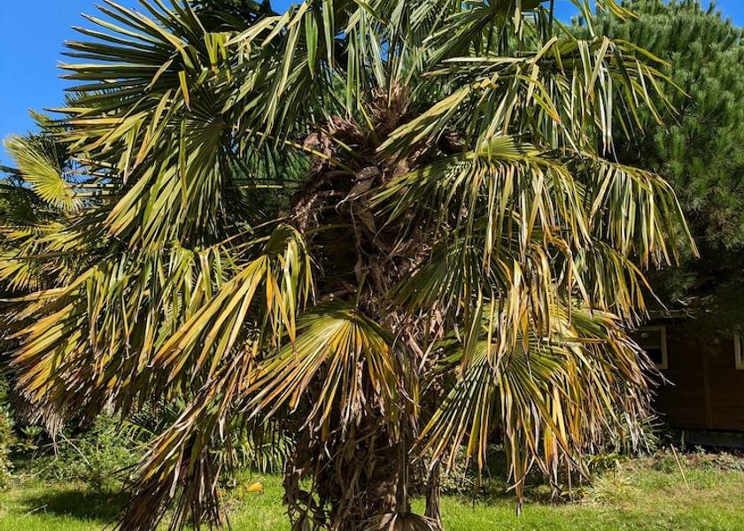 Brittany Baguer-Morvan Amenity