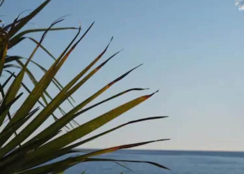 Provence - Alpes - Cote d'Azur Menton View from Property