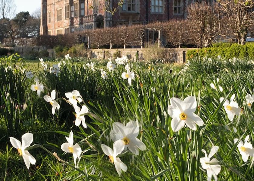 England Uckfield Exterior Detail