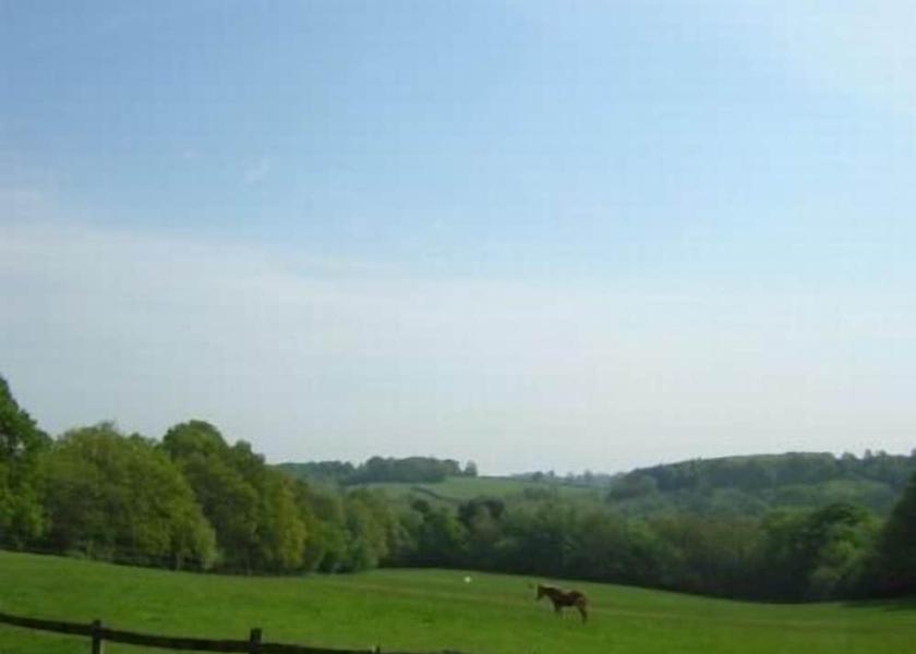 England Wadhurst View from Property