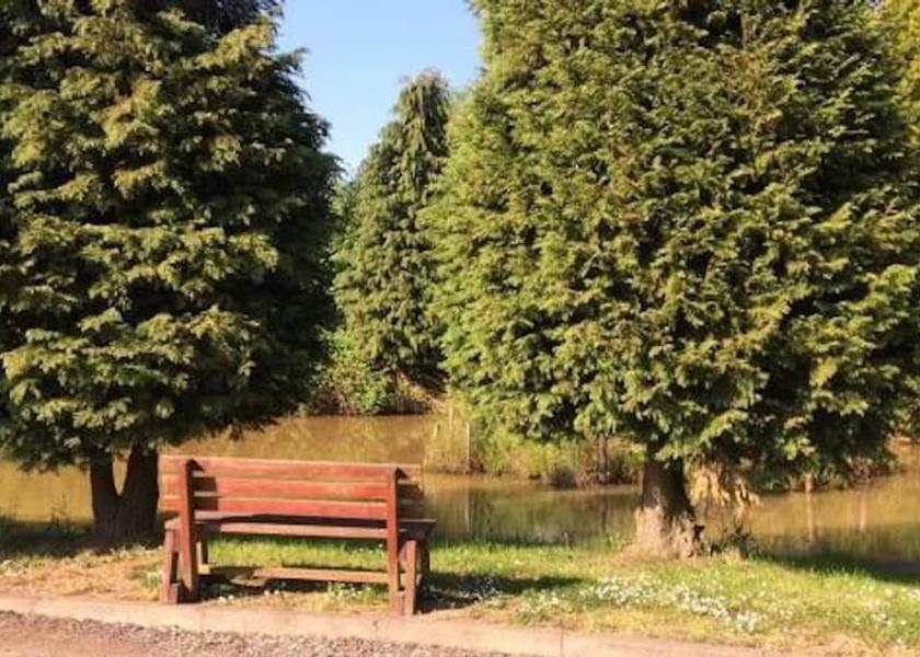 England Ibstock Lake