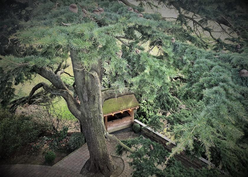 England Solihull Garden View