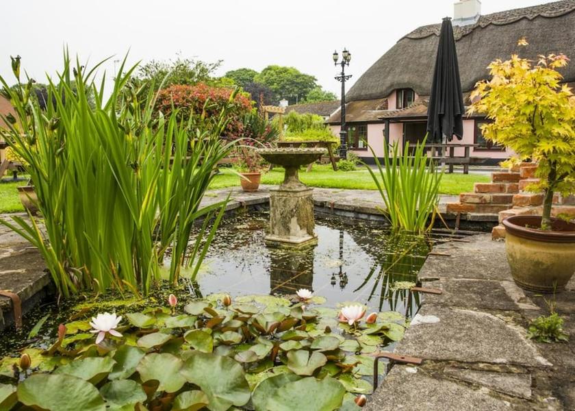 England Blandford Forum Garden