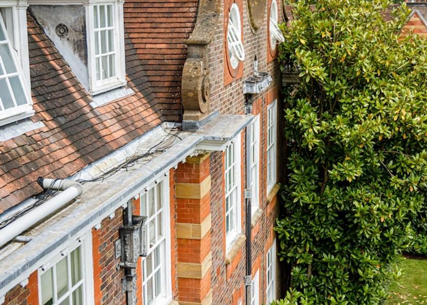 England Guildford Garden View