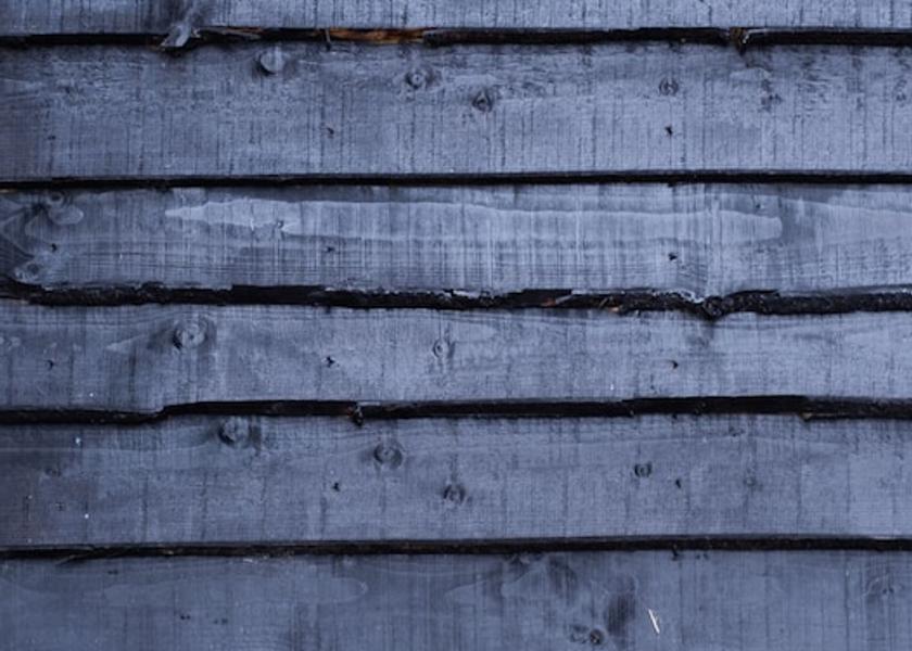 Northern Ireland Craigavon Garden