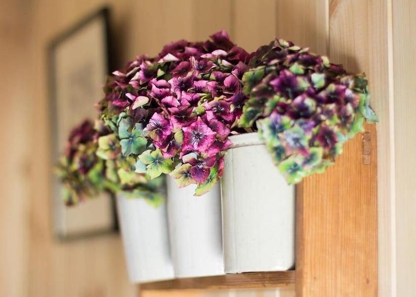 Wales Llanrwst Amenity