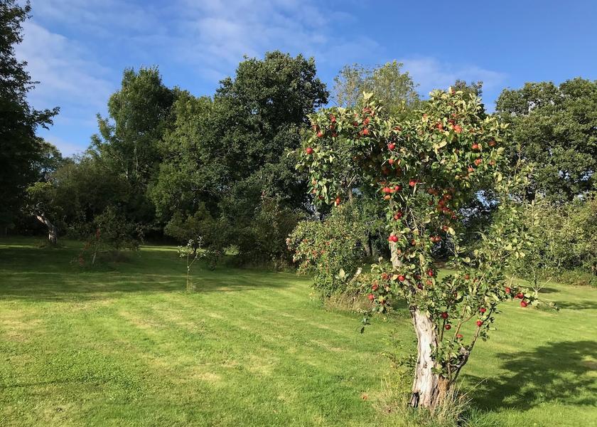 England Etchingham Garden